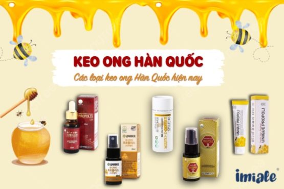 Công dụng của keo ong Hàn Quốc là gì? Các loại keo ong Hàn Quốc hiện nay
