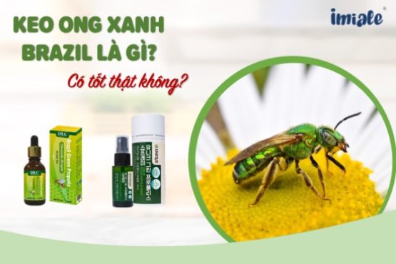 Keo ong xanh Brazil là gì? Keo ong xanh Brazil có tốt thật không? Keo ong xanh Brazil là gì? Keo ong xanh Brazil có tốt thật không?