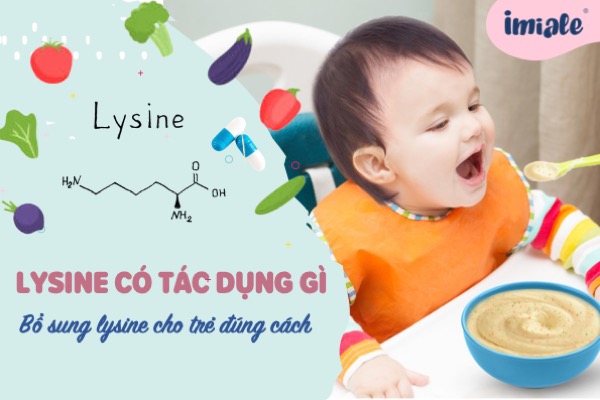 Lysine có tác dụng gì cho trẻ - Bổ sung Lysine cho trẻ đúng cách
