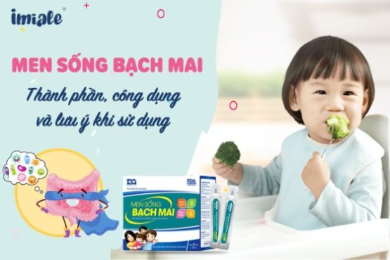 Men sống Bạch Mai: Thành phần, công dụng và lưu ý khi sử dụng Men sống Bạch Mai: Thành phần, công dụng và lưu ý khi sử dụng