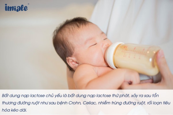 Giải đáp thắc mắc của mẹ về bất dung nạp lactose ở trẻ