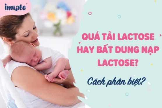 Quá tải lactose hay bất dung nạp lactose? Cách phân biệt