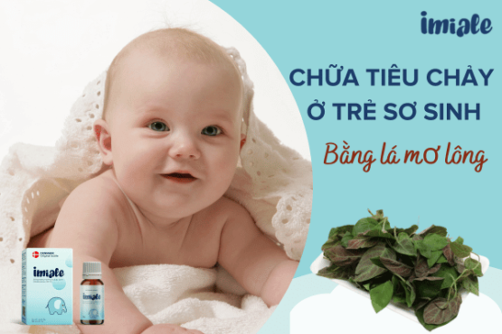 chữa tiêu chảy cho trẻ sơ sinh bằng lá mơ