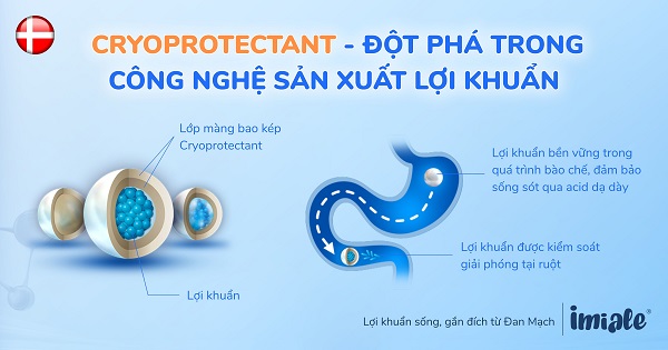 Công nghệ bao kép Cryoprotectant đột phá công nghệ sản xuất lợi khuẩn 