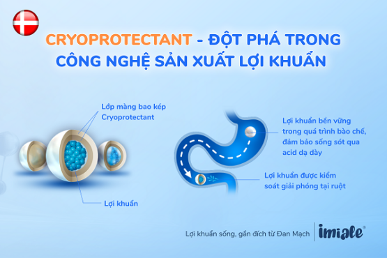 Công nghệ bao kép Cryoprotectant đột phá công nghệ sản xuất lợi khuẩn