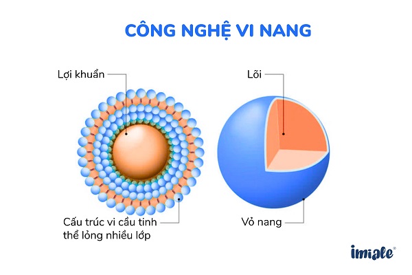 Công nghệ vi nang trong Cryoprotectant