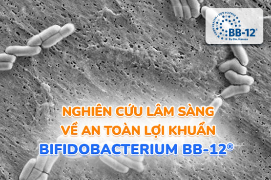Nghiên cứu lâm sàng về an toàn của chủng men Bifidobacterium BB-12®