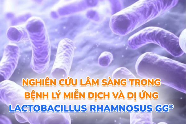 Nghiên cứu về chủng Lactobacillus rhamnosus GG (LGG)® trên bệnh lý miễn dịch và dị ứng