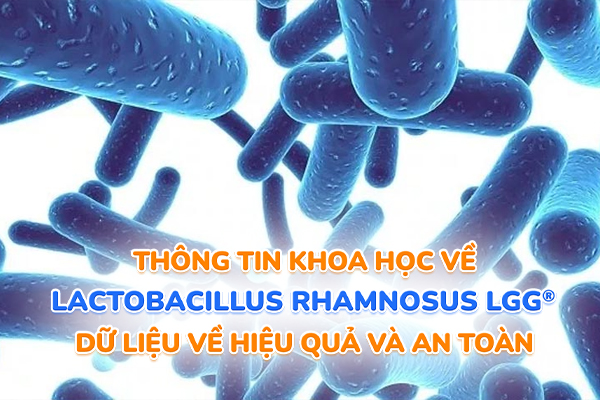 Thong-tin-khoa-hoc-ve-hieu-qua-va-an-toan-cua-chung-LGG